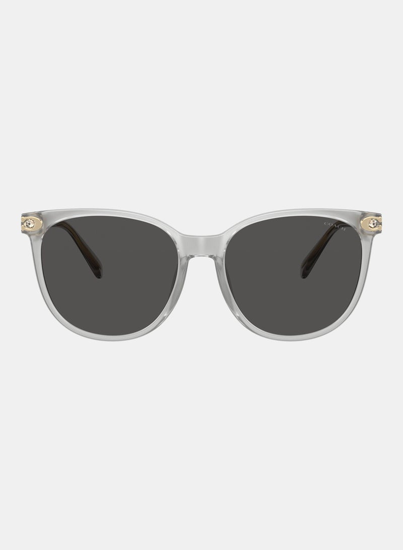 كوتش نظارة شمسية دائرية كاملة الحواف 8414BD 561487 - Image 1